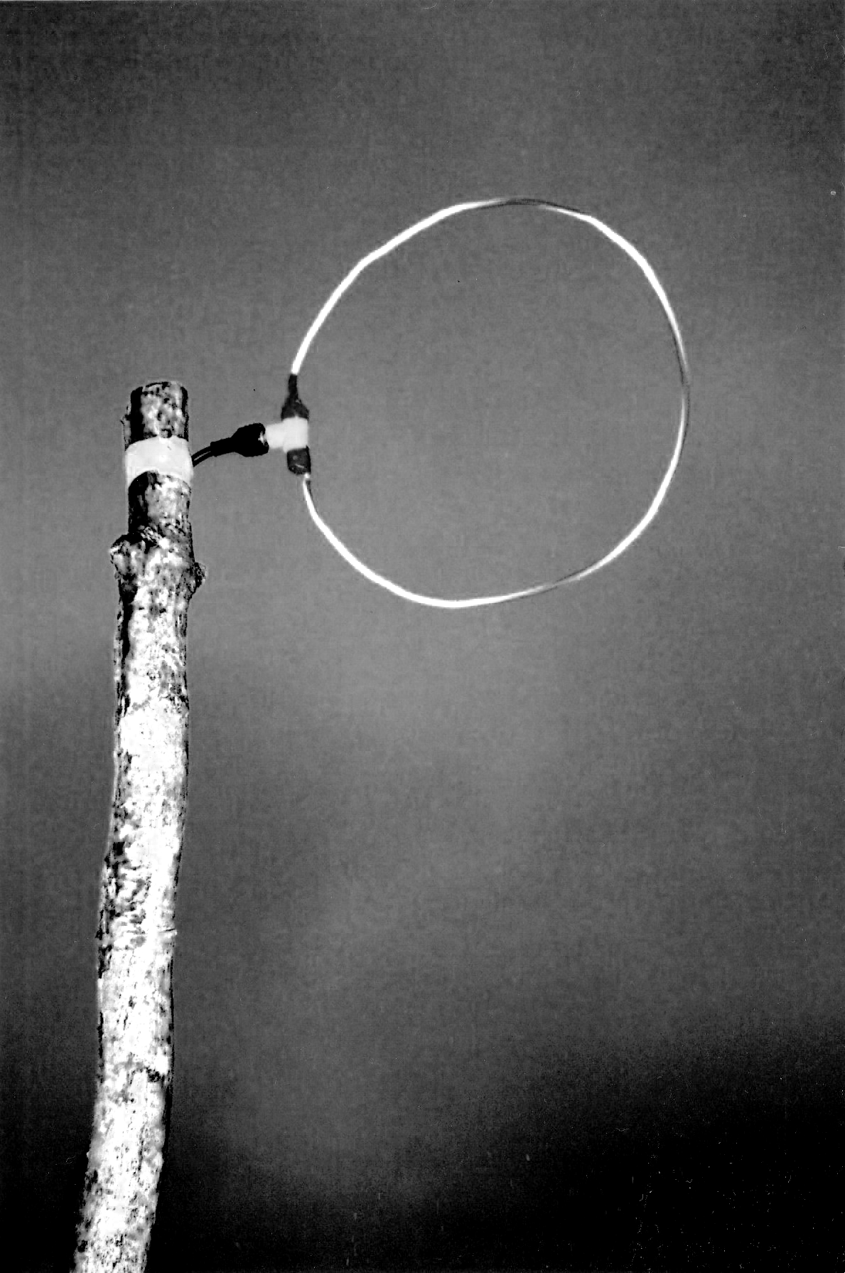 Antenne « Loop », construite pour emettre sur la fréquance 471.25 Mhz, la chaine 21.