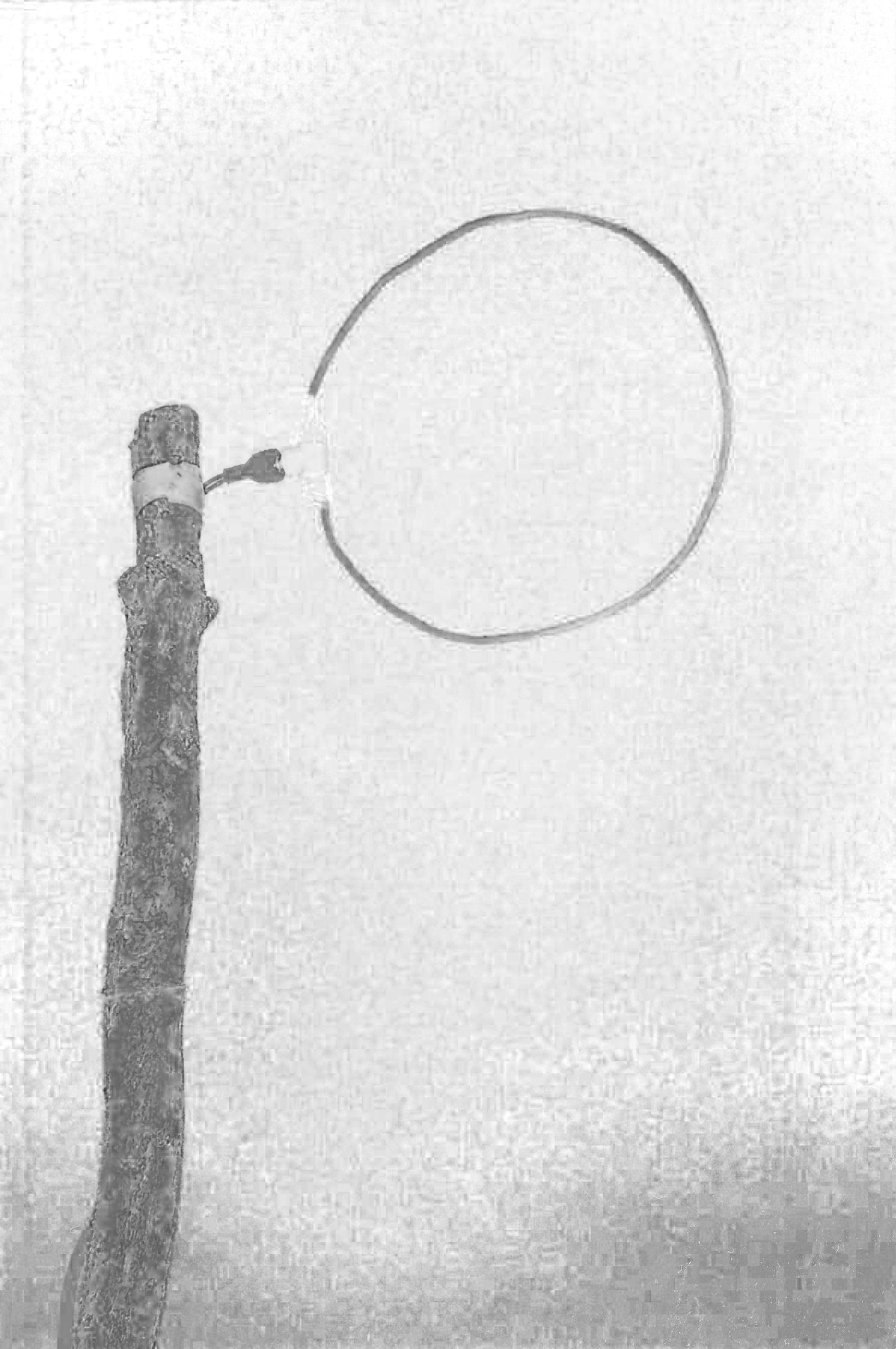 Antenne « Loop », construite pour emettre sur la fréquance 471.25 Mhz, la chaine 21.