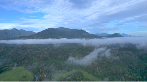 The drone skims low over a tropical forest in Indonesia. Clouds swim between soft forested hills. We too drift at cloud level. The world below is all vegetation. Then the thick carpet of tropical forest is interrupted by bright paddy fields, the terracotta of settlements, a twist of smoke, a river curling past a village, palm oil plantations punctuating the hillside with rigid patterns. Drawing up higher, look over the crest of this hill to the blue hills beyond, their ridges softened. The sky is speckled mackerel.  