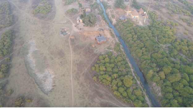 From the drone view, interlocking pathways are seen carved into the landscape. The vegetation is tussocky, patched with trees, collections of huts gather as though in conversation with each other. The sun glances off tarpaulins tethered over barns beside the straw-roofed homes. Occasionally bare white-trunked trees like wishbones rise above the scrub. A river draws a narrow glinting needle through the landscape. The markings of the Van Gujjar’s buffalo herds trace journeys in the earth. It is a cold, bright day and the world bristles with lucid sunshine.  